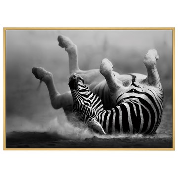 菠蘿選畫所 弱肉強食 ANSS3415D 掛畫 40 x 30cm 框 - 黑白動物攝影藝術  木色