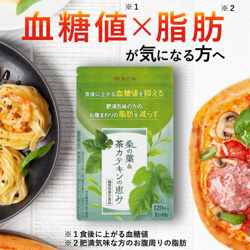 桑の葉&茶カテキンの恵み120粒入 6袋セット 桑の 