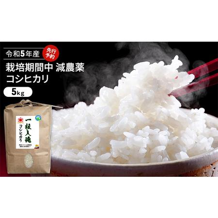 ふるさと納税 令和5年産 栽培期間中減農薬 コシヒカリ 5kg 玄米 福井県若狭町