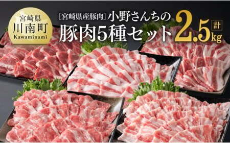 宮崎県産豚肉 小野さんちの"豚肉５種セット” 2.5kg