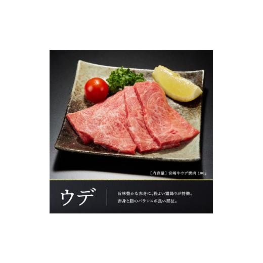 ふるさと納税 宮崎県 川南町 宮崎牛 焼肉 ６種食べ比べセット 肉 牛 牛肉