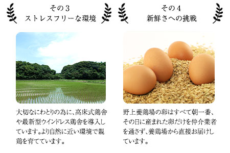 朝獲れ卵 味宝卵 (80個) 卵 Lサイズ 鶏卵《90日以内に順次出荷(土日祝除く)》野上養鶏場