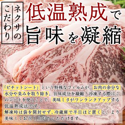 ふるさと納税 佐伯市 おおいた和牛 リブロースステーキ (計1kg)