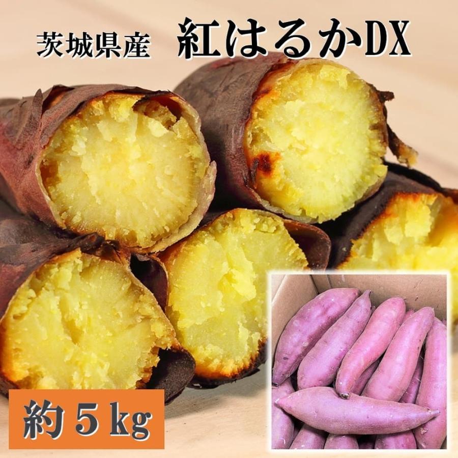 お歳暮 ギフト 2023 茨城県産 紅はるかDX 約18〜22本 計約5kg 紅芋 さつまいも 焼き芋 セット 詰合せ 贈答品