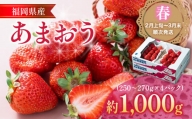 福岡産あまおう 4パック 合計約1000g～1080g 約1kg （1パックあたり約250g～約270g） いちご 苺 果物 フルーツ 九州産 福岡県産 冷蔵 送料無料 