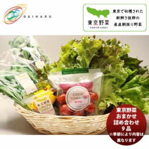 お歳暮 大治 東京野菜おまかせ産直 9品セット  新発売大田市場直送　こだわり　厳選　野菜セット　新鮮 のし・ギフト・サンプル各種対応