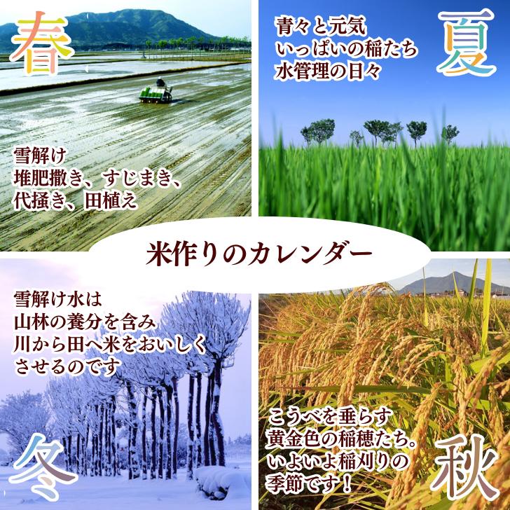 新米 5年産 玄米 通販 米 新潟 産 コシヒカリ 玄米 5kg こしひかり 減農薬 農家 直送 生産者 コシヒカリ 5kg 新潟県産 玄米 おすすめ 玄米 販売