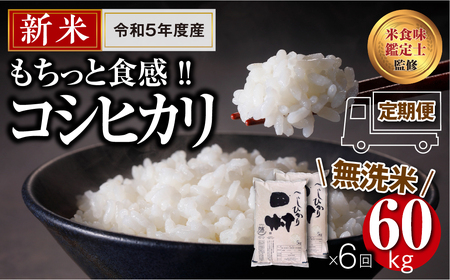   田村産 ＼定期便6回／ コシヒカリ 1俵 60kg 10kg ずつ 6回 配送ギフト 贅沢 のし対応 １週間以内発送 福島 ふくしま 田村 贈答 美味しい 米 kome コメ ご飯 ブランド米 精米したて お米マイスター 匠 食味鑑定士 安藤米穀店