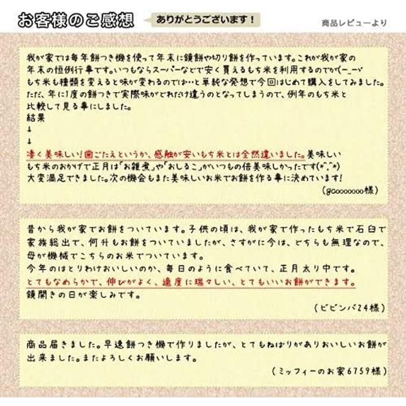 新潟県産 白米 こがねもち米 5kg 令和4年産