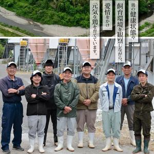 ふるさと納税 丸本特製阿波尾鶏 水炊きセット もも・つみれ 合計1.4kgセット（4-5人前） 徳島県海陽町