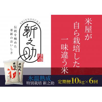 ふるさと納税 阿賀野市 米杜氏 阿賀野市産 新之助 10kg (5kg×2袋)×6回