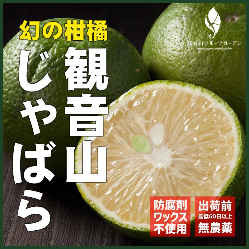 じゃばら A級品 8kg 和歌山県産ジャバラ 観音山フルーツガーデン 送料無料