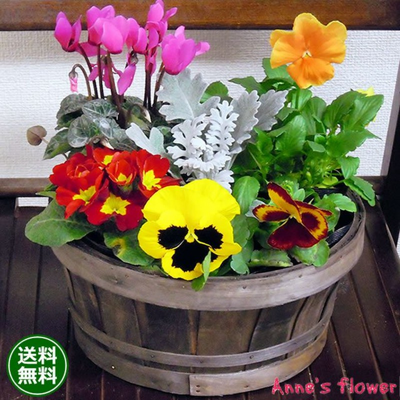 花 鉢植え 春まで楽しめる ミニガーデン 季節のお花 寄せ植え お祝い バースデー 歓送迎 送別 退職 贈り物 母の日 通販 Lineポイント最大0 5 Get Lineショッピング