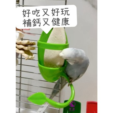 香濃❤墨魚骨支架  墨魚骨掛繩 玩具掛繩 蔬菜架 點心架 鳥食架