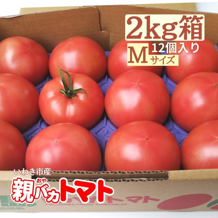 親バカトマト 約2kg Mサイズ 12個入り いわき市産 ギフト 農園直送 助川農園