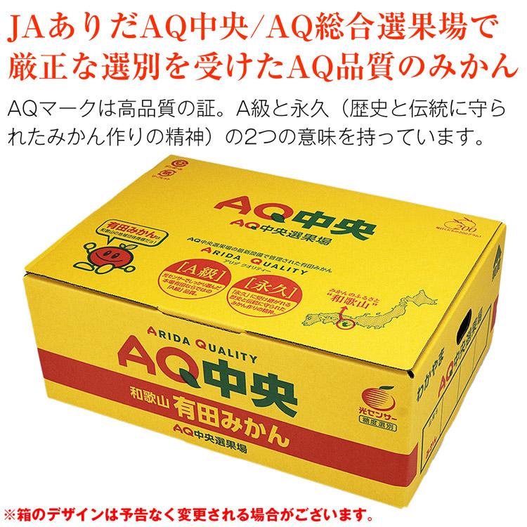 有田みかん 2.7kg 和歌山県産 赤秀品 S M Lサイズ JAありだ 高糖度 常温便 同梱不可 指定日不可 ミカン 蜜柑