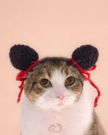 寵物帽 小額造型 鉤織 農曆新年 貓帽 Chinese New Year Cat hat