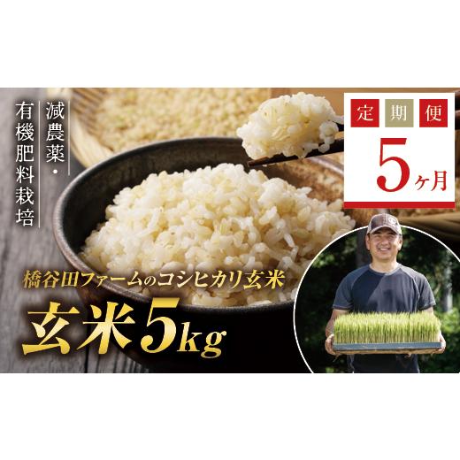 ふるさと納税 福島県 西会津町 《定期便5ヶ月》減農薬・有機肥料栽培 西会津産米コシヒカリ 玄米 5kg 米 お米 おこめ ご飯 ごはん 福島県 西会津町 F4D-0390