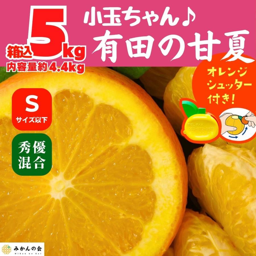 甘夏 小玉ちゃん 箱込 5kg 内容量約 4.4kg 秀品 優品 混合 Sサイズ以下 和歌山県 産地直送  