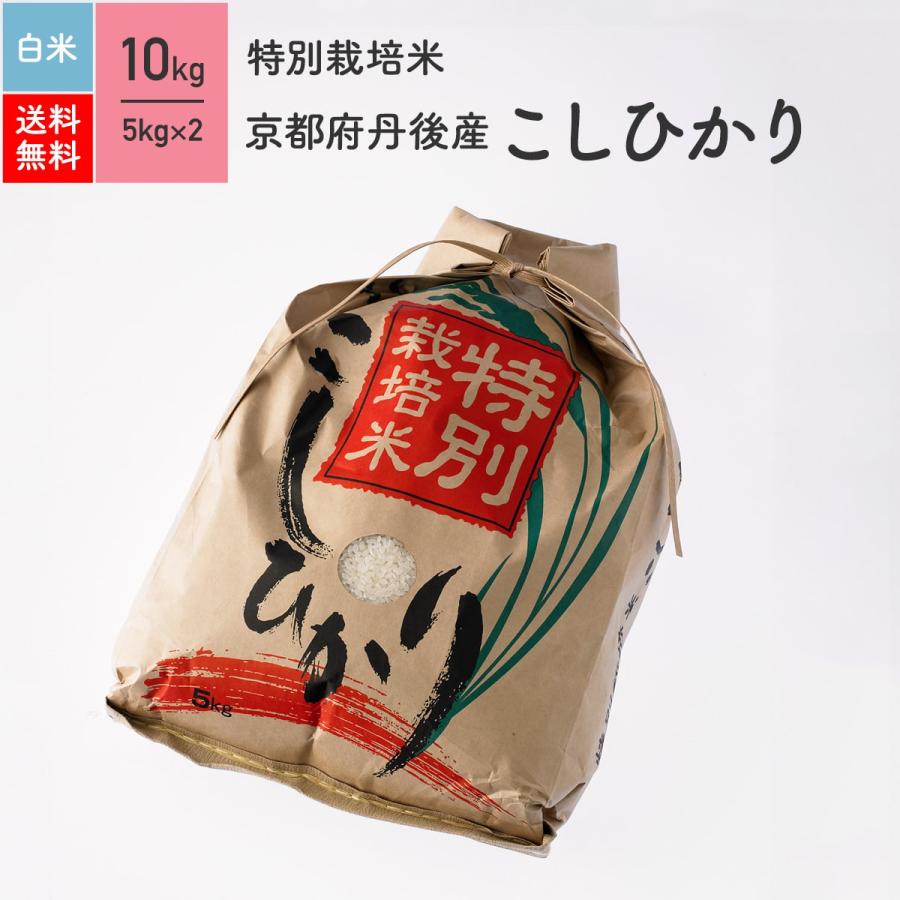 米 お米 10kg コシヒカリ 京都府丹後産 特別栽培米 白米 5年産