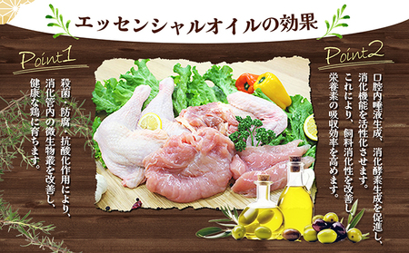 松山どり もも肉切り身2.5kg