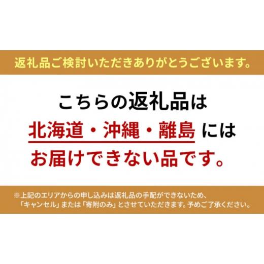 ふるさと納税 京都府 宮津市 松葉ガニ　茹で　タグ付き　1.2kg up　2杯《2023年11月10日以降順次発送》[ 蟹 かに カニ 松葉蟹 国産 冷蔵 ][No.5716-0547]