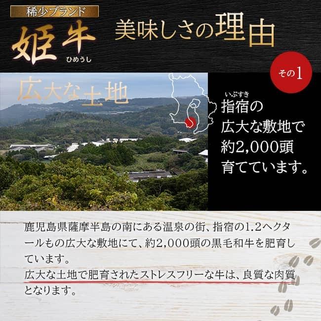 牛丼の具 4食 鹿児島県産 黒毛和牛 黒毛姫牛 A4 冷凍 ポイント消化 簡単 お取り寄せ ご当地 ブランド牛 送料無料 