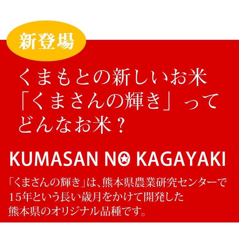 くまさんの輝き 米 送料無料 2kg 令和5年産 熊本県産 お米 白米 玄米 コシヒカリ ヒノヒカリ 森のくまさん