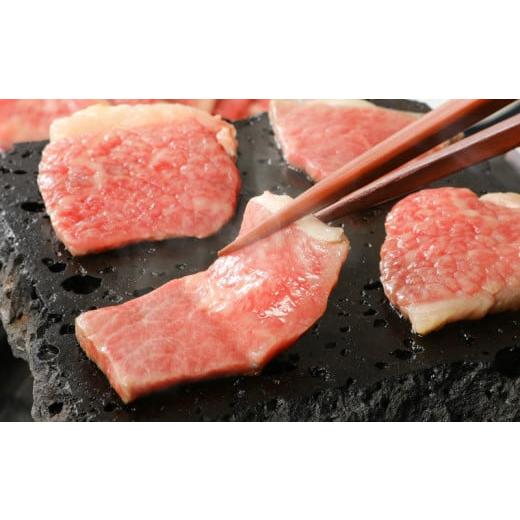 ふるさと納税 佐賀県 伊万里市 バラエティ美味 焼肉セット 牛肉 豚肉 鶏肉 1.1kg J298