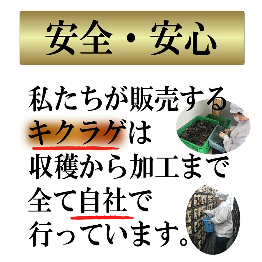 国産 熊本県人吉産 乾燥 きくらげ40ｇ 生換算約400ｇ 木耳 人吉 テレビ 