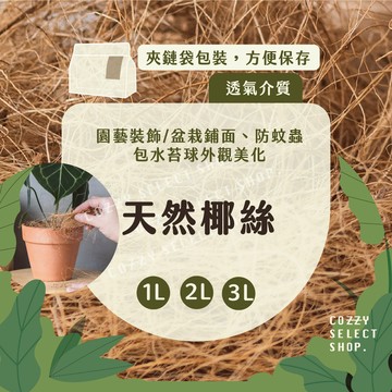 天然椰絲 裝飾椰絲 鋪面椰絲 植物介質 透氣介質 椰子殼纖維 鋪底介質 鋪面介質 空氣鳳梨裝飾 水苔球椰絲 蓬鬆椰絲