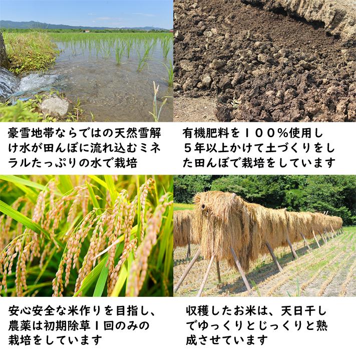 令和５年産新米 新潟県南魚沼しおざわ産プレミアム コシヒカリ 「極み」 玄米30kg 送料無料