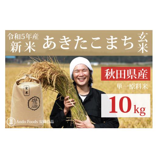 ふるさと納税 秋田県 三種町 秋田県産 あきたこまち 10kg(10kg×1袋) 新米 令和5年産