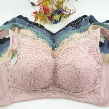 實體店新款黛軒娜8023中厚B杯內衣無鋼圈聚攏調整上托收副乳文胸