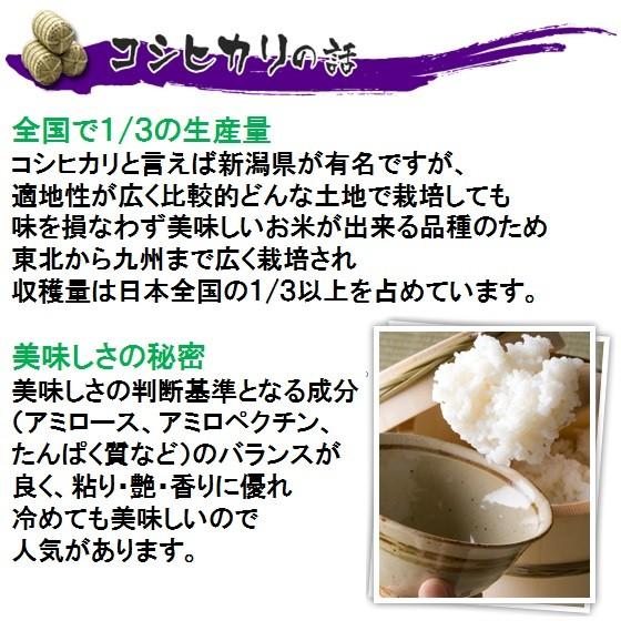 令和５年産岐阜県産 コシヒカリ 玄米20Kg（10kg×2）分ツキ可（こしひかり北海道 沖縄 離島は追加送料