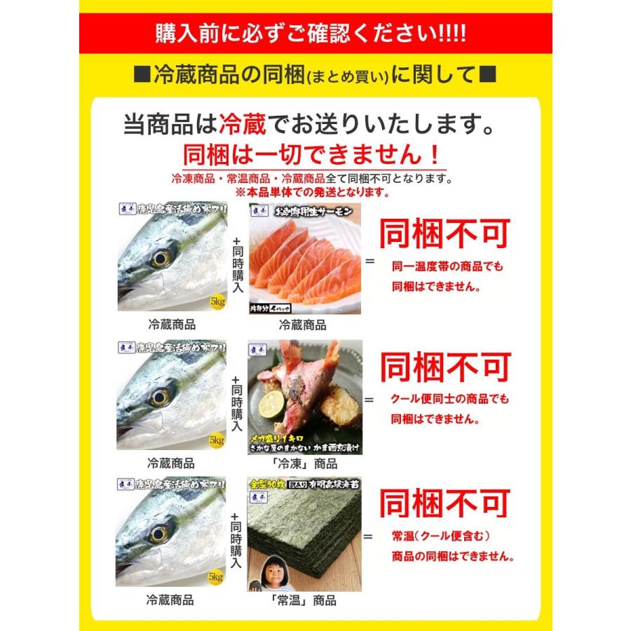 ぶり チルド 加工無し まるごと 1尾 約5kg 鹿児島 大分産 鰤 寒ブリ 嫁ぶり 刺身 ぶりしゃぶ ぶり照り お歳暮