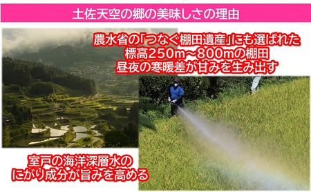 ★令和5年産★2010年・2016年 お米日本一コンテスト inしずおか 特別最高金賞受賞 土佐天空の郷 にこまる 10kg