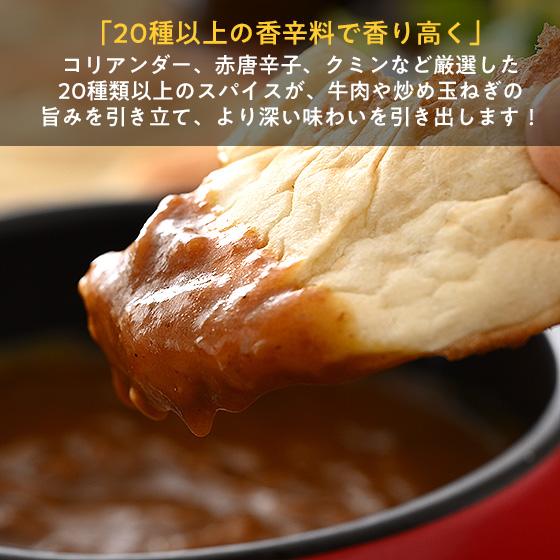 日本食研カレー 200g×1袋 中辛口 日本食研 カレー ビーフカレー レトルト レトルトカレー