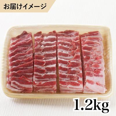 ふるさと納税 越前市 福井白山ポーク豚バラ　1.2kg