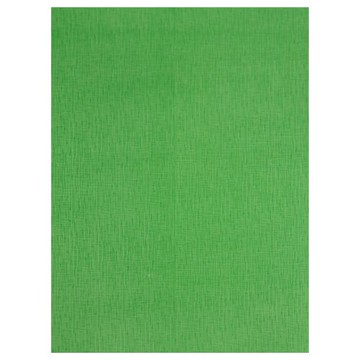 【史代新文具】STAT 926 淺綠 A4 充皮紙 (1包100張)