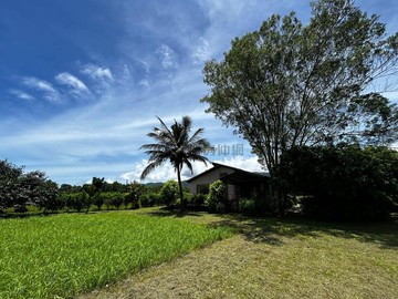 花蓮壽豐近雲山水與理想星巴克合法農舍｜花蓮縣壽豐鄉東新街