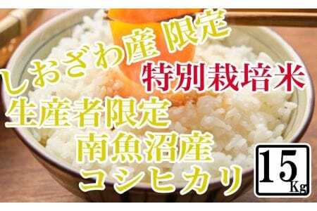 特別栽培 しおざわ産限定 生産者限定 南魚沼産コシヒカリ