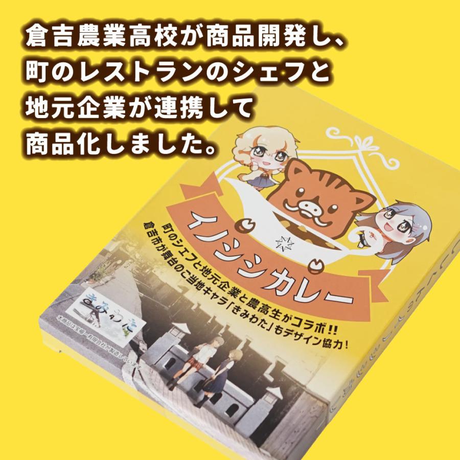 カレー レトルト 鳥取 ご当地カレーセット イノシシカレー ちくわカレー ビーフカレー 6食 ジビエ 鳥取県産 贈答用 ギフト プレゼント