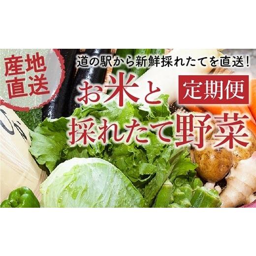 ふるさと納税 鹿児島県 南九州市 道の駅からお届け!お米と採れたて野菜定期便 013-15