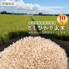 こしひかり玄米10kg