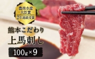 馬刺し 上赤身 ブロック 国産 熊本肥育 冷凍 生食用 たれ付き(10ml×9袋) 100g×9セット 肉 絶品 牛肉よりヘルシー 馬肉 平成27年28年 農林水産大臣賞受賞 熊本県 葦北郡 津奈木町《4月中旬-6月末頃より出荷予定》