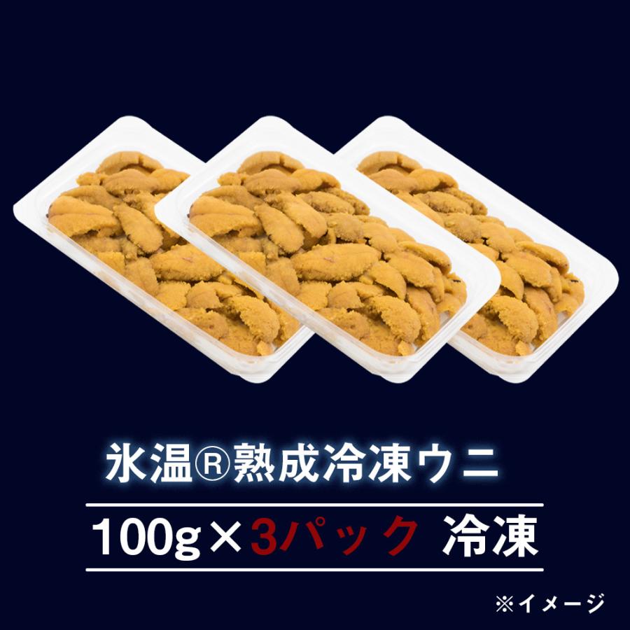 訳あり 氷温熟成 冷凍ウニ (100g×3パック）冷凍