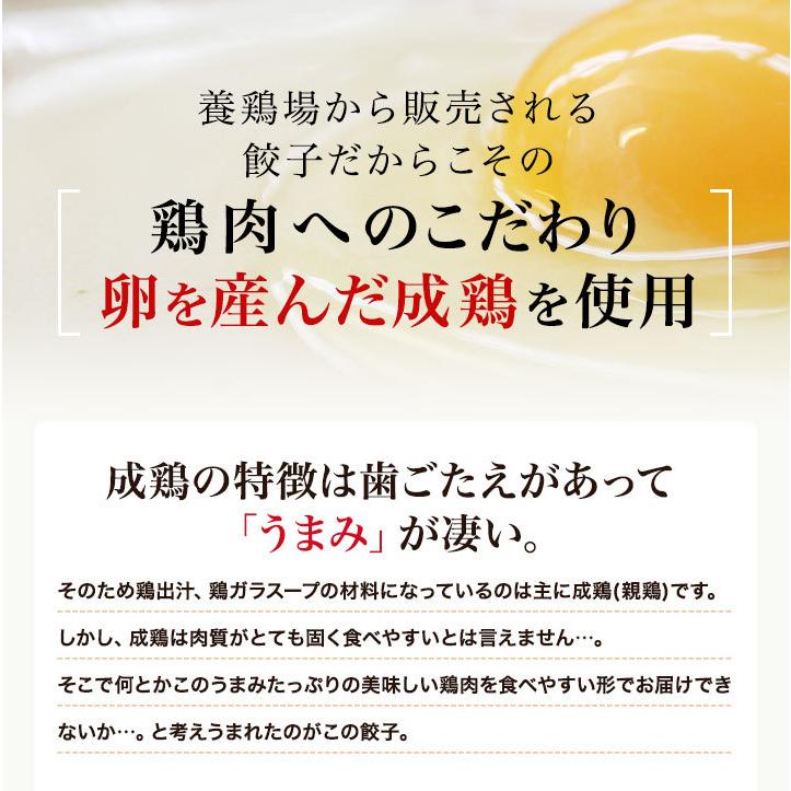 名古屋コーチン餃子 60個入り(30個入り×2袋) 冷凍餃子 餃子 送料無料 お試し 生餃子 冷凍生餃子 食品 惣菜 中華 鶏肉