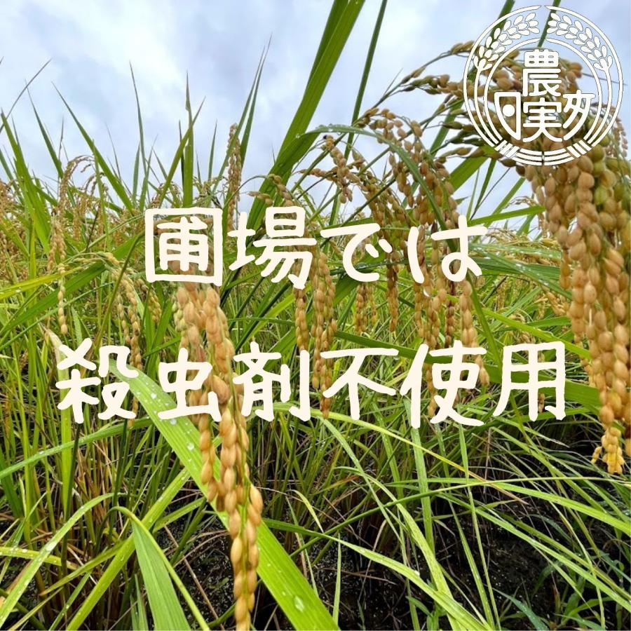 農業学校が作ったコシヒカリ3kg　無洗米　白米　７分つき　３分つき　精米したて　こしひかり　茨城県産　米