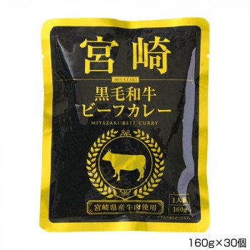 一 はじめ 宮崎黒毛和牛ビフーカレー 160g×30個 P10(代引・同梱不可)